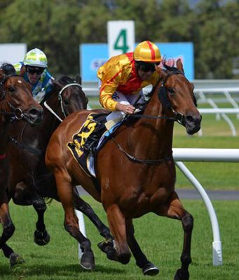 VIDEO: Neil Simpson impresses at Barum Czech Rally Zlín